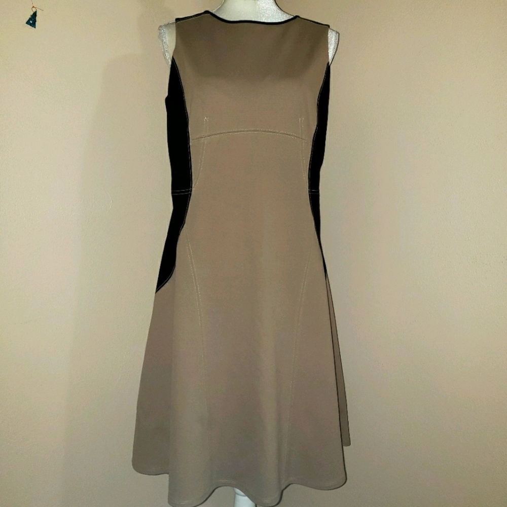 Ann Taylor Dress SZ 10.  EUC Classic!
